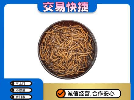 巴中市高价回收散虫草